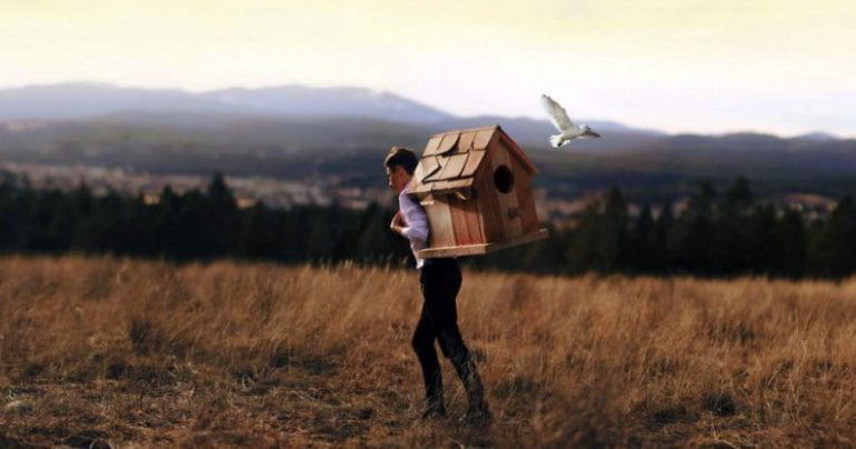 La resilienza e come essere un resiliente