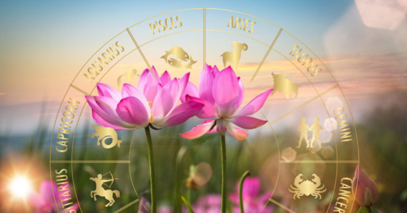 Un fiore per ogni segno Zodiacale