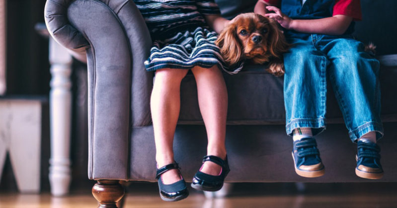 Avere un cane in casa migliora la salute dei bambini