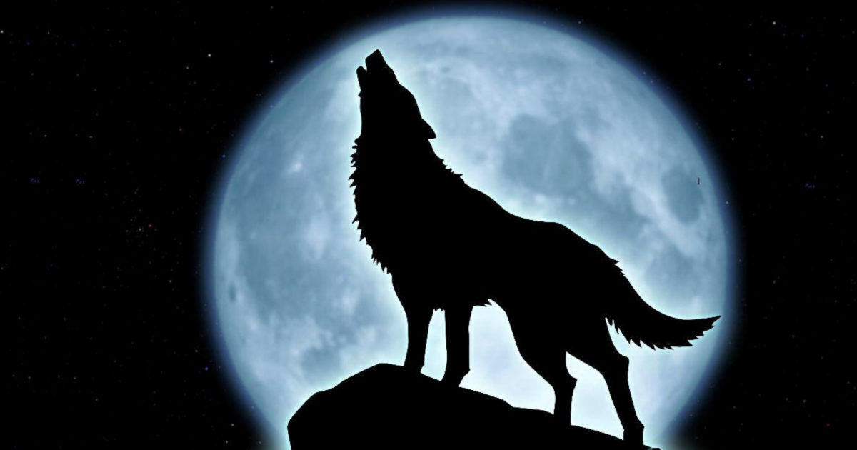 eclissi lunare