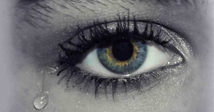 Il pianto è un segno di intelligenza emotiva 