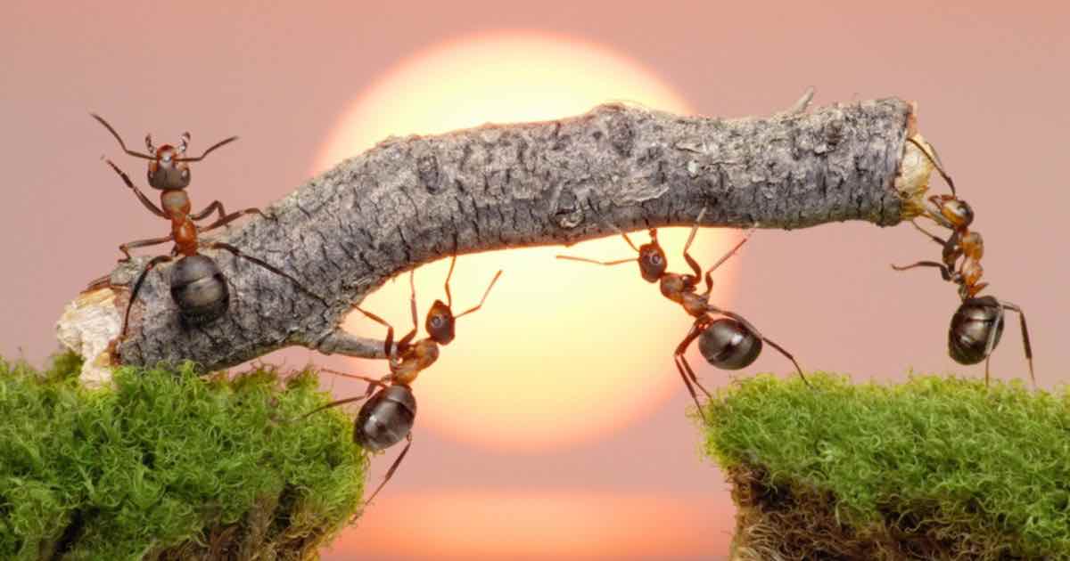 Circondati di persone positive